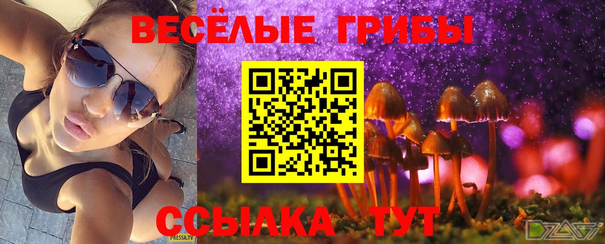 Галлюциногенные грибы Magic Shrooms  купить наркоту  Псилоцибиновые грибы Magic Shrooms  Уфа  Вход с VPN 